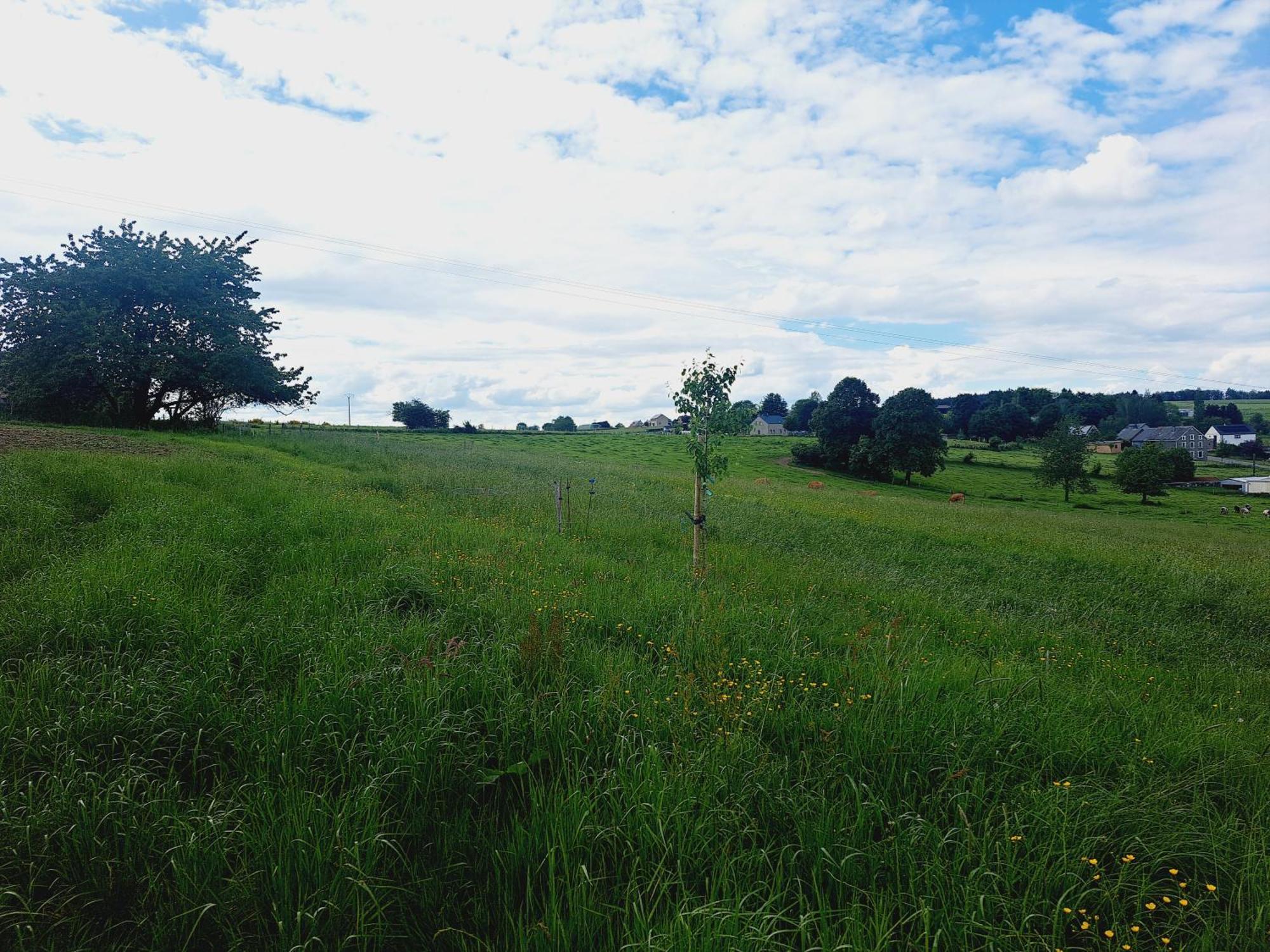 *Au Refuge Ardennais* Leilighet Bertogne Eksteriør bilde